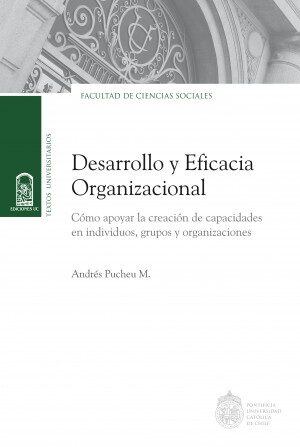 20029-DESARROLLO Y EFICACIA ORGANIZACIONAL