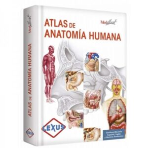 30993-ATLAS DE ANATOMIA HUMANA