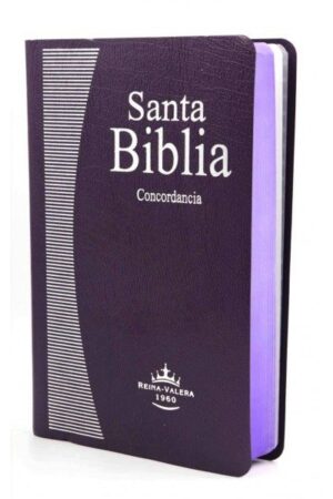 32669-SANTA BIBLIA REINA VALERA LILA CONCORDANCIA