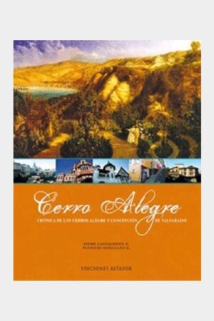 37154-CERRO ALEGRE