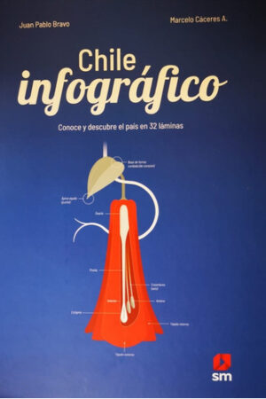 28319-CHILE INFOGRAFICO
