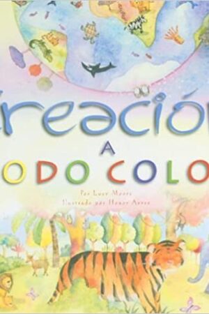 41610-CREACION A TODO COLOR