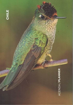 41788-AGENDA PLANNER AVES DE CHILE / PICAFLOR