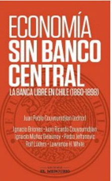 20083-ECONOMIA SIN BANCO CENTRAL