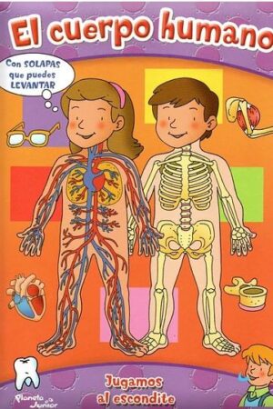 40041-EL CUERPO HUMANO