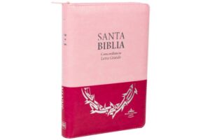 47833-BIBLIA REINA VALERA 1960 LETRA GRANDE