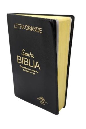 47836-SANTA BIBLIA CON CONCORDANCIA COLOR NEGRO