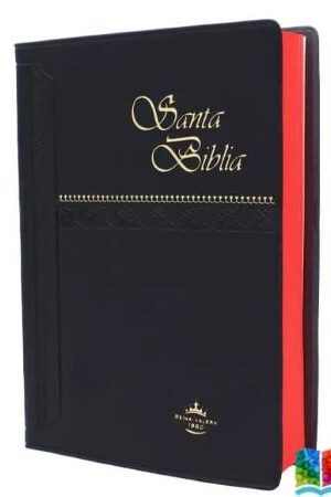 47822-BIBLIA REINA VARELA 1960 VINIL NEGRO CANTO ROJO