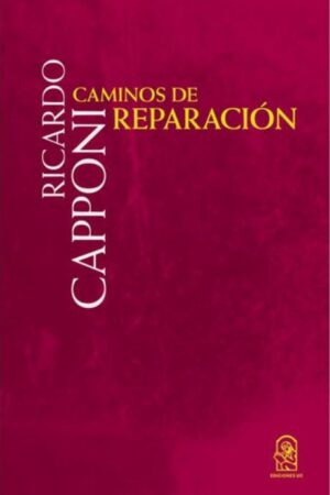 49313-CAMINOS DE REPARACION