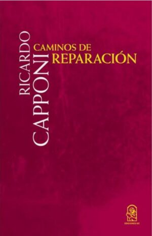 49313-CAMINOS DE REPARACION