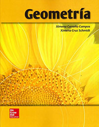801-GEOMETRIA