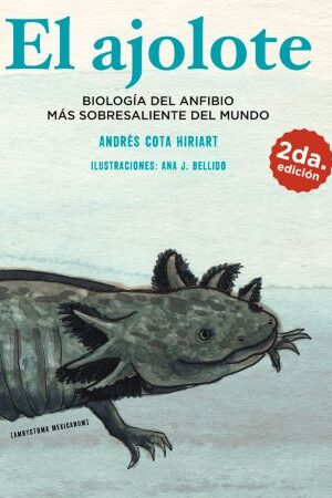 49425-EL AJOLOTE