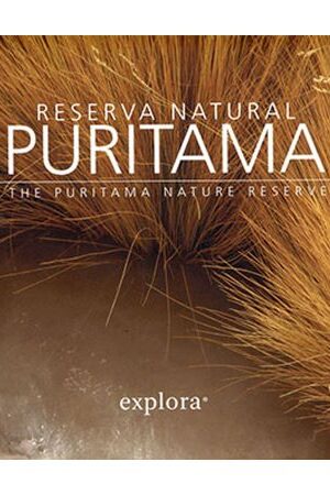 49858-RESERVA NATURAL PURITAMA