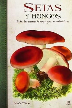 53595-SETAS Y HONGOS