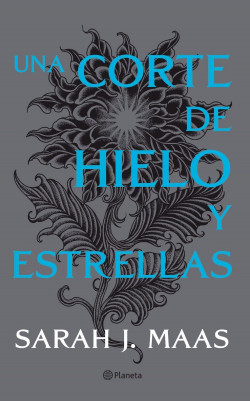 30212-UNA CORTE DE HIELO Y ESTRELLAS