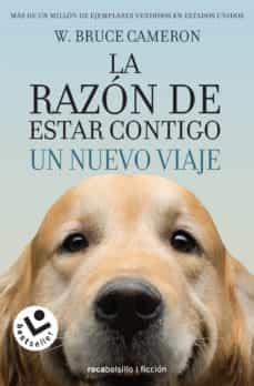 15687-RAZON DE ESTAR CONTIGO UN NUEVO VIAJE