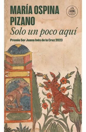 61129-SOLO UN POCO AQUI