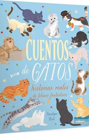 61090-CUENTOS DE GATOS : HISTORIAS REALES DE FELINOS FANTASTICOS