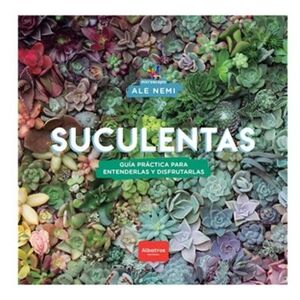 42023-SUCULENTAS