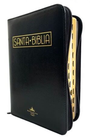 47838-SANTA BIBLIA CON INDICE CANTO DORADO / NEGRO